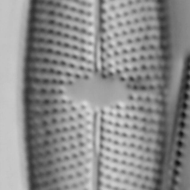 Mastogloia lacustris LM1