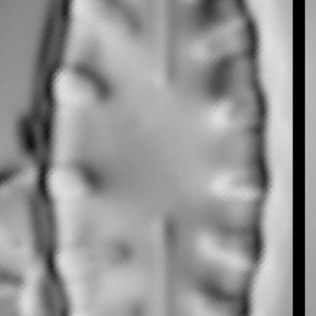 Hygropetra balfouriana LM2