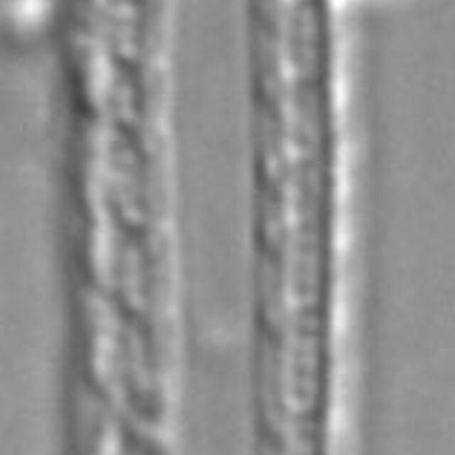 Smm MBE Bear Meadows Bog 2336a 01