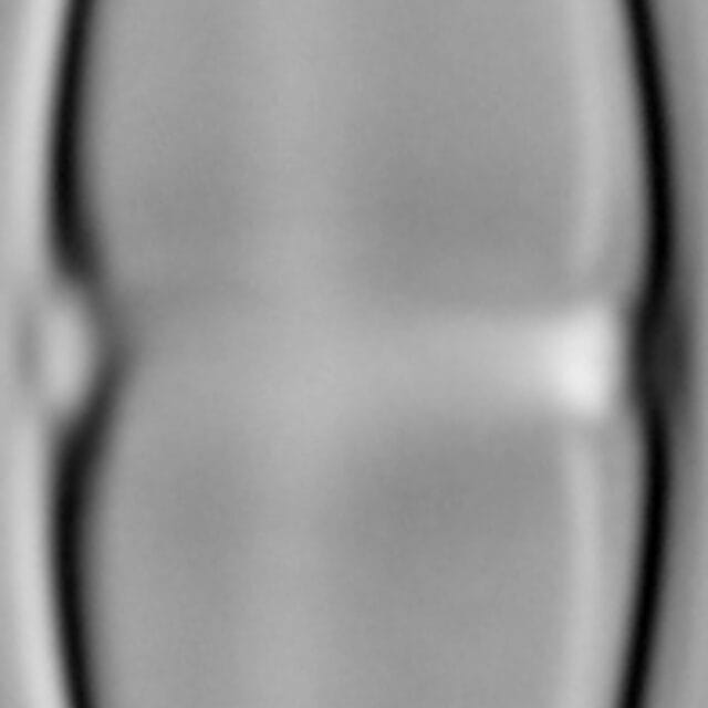 Stauroneis smithii var incisa LM3